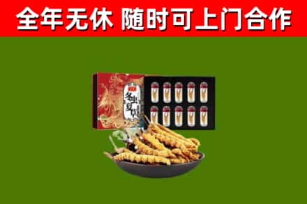 汉中回收冬虫夏草价格